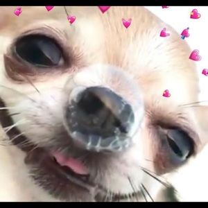 Meet your Posher, Arturo